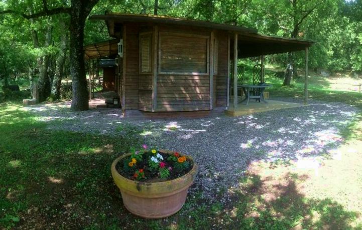 la casetta nel bosco la casetta nel bosco