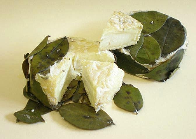 foglia mirto