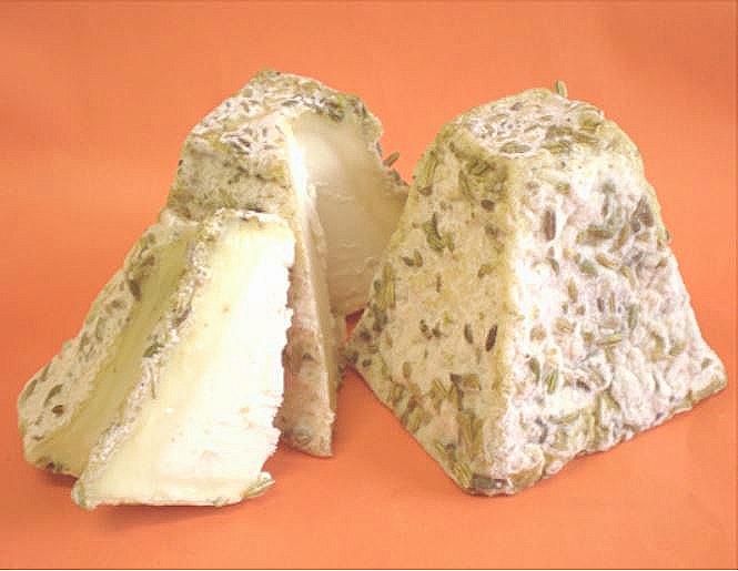 semi finocchio