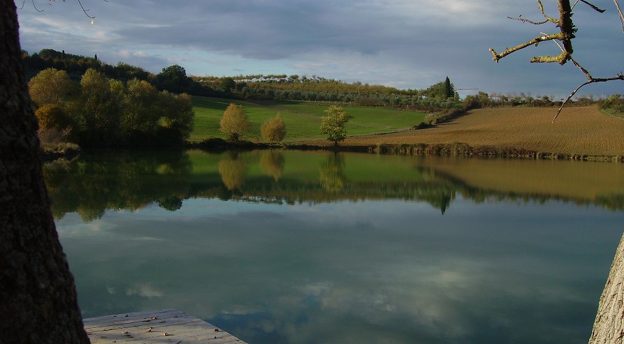 lago lago